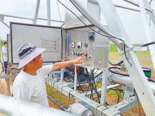 沃野 智 变 良种生长