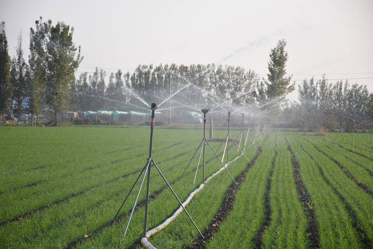 村民齐行动，高效灌溉保丰收